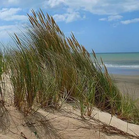 Comme Chez Vous, Ailleurs Et Proche De L'océan Сasa de vacaciones