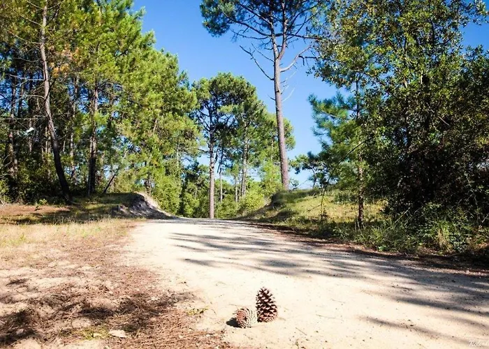 Comme Chez Vous, Ailleurs Et Proche De L'océan Hébergement de vacances